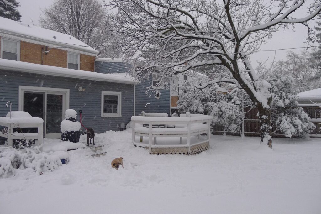 Snow in Chicago Early 2013
