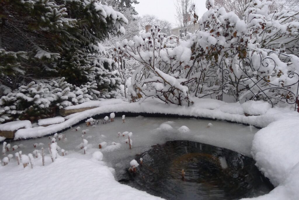 Snow in Chicago Early 2013