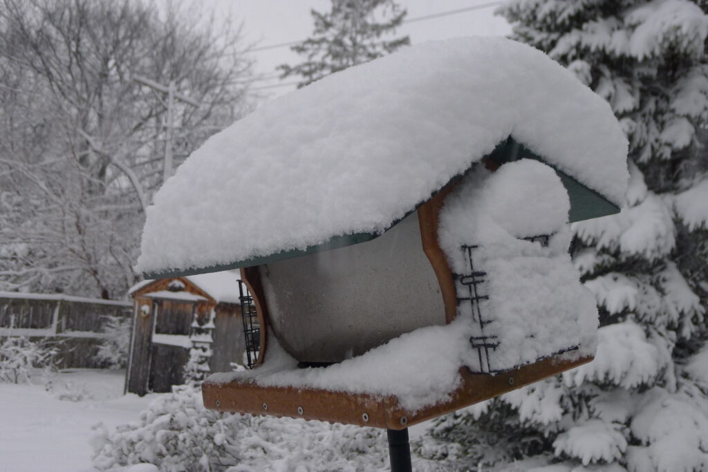 Snow in Chicago Early 2013