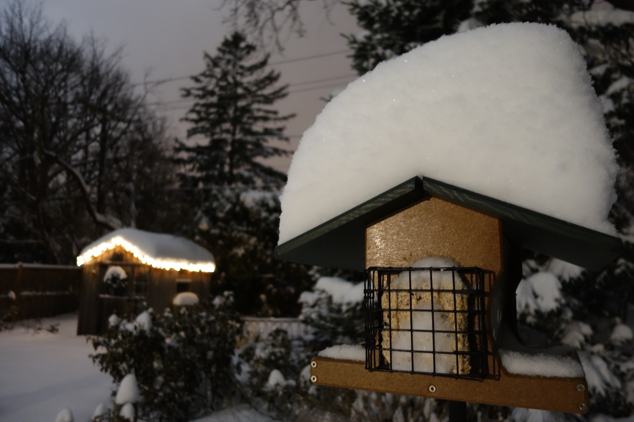 Bit of Snow January 2014