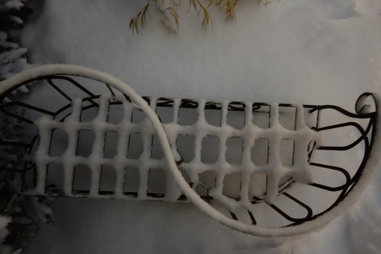 Bit of Snow January 2014