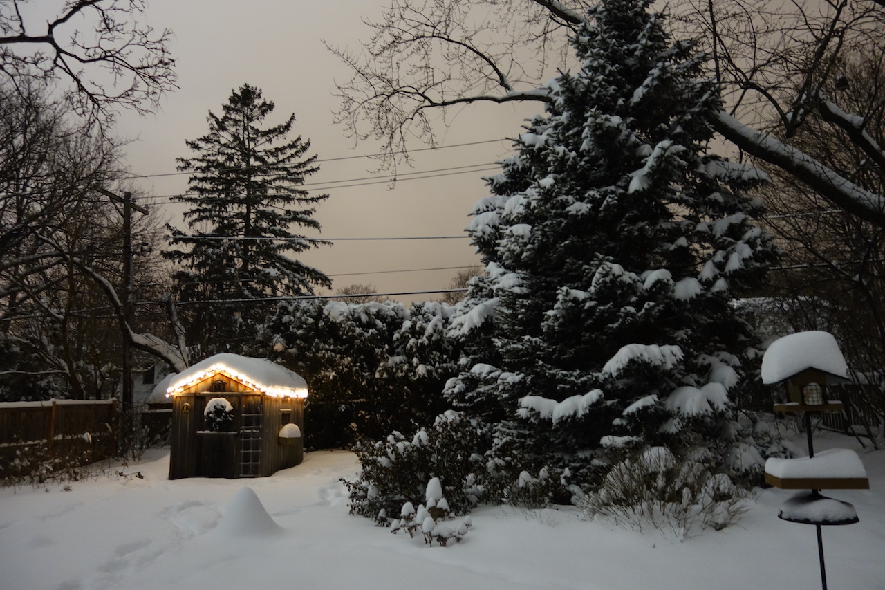 Bit of Snow January 2014
