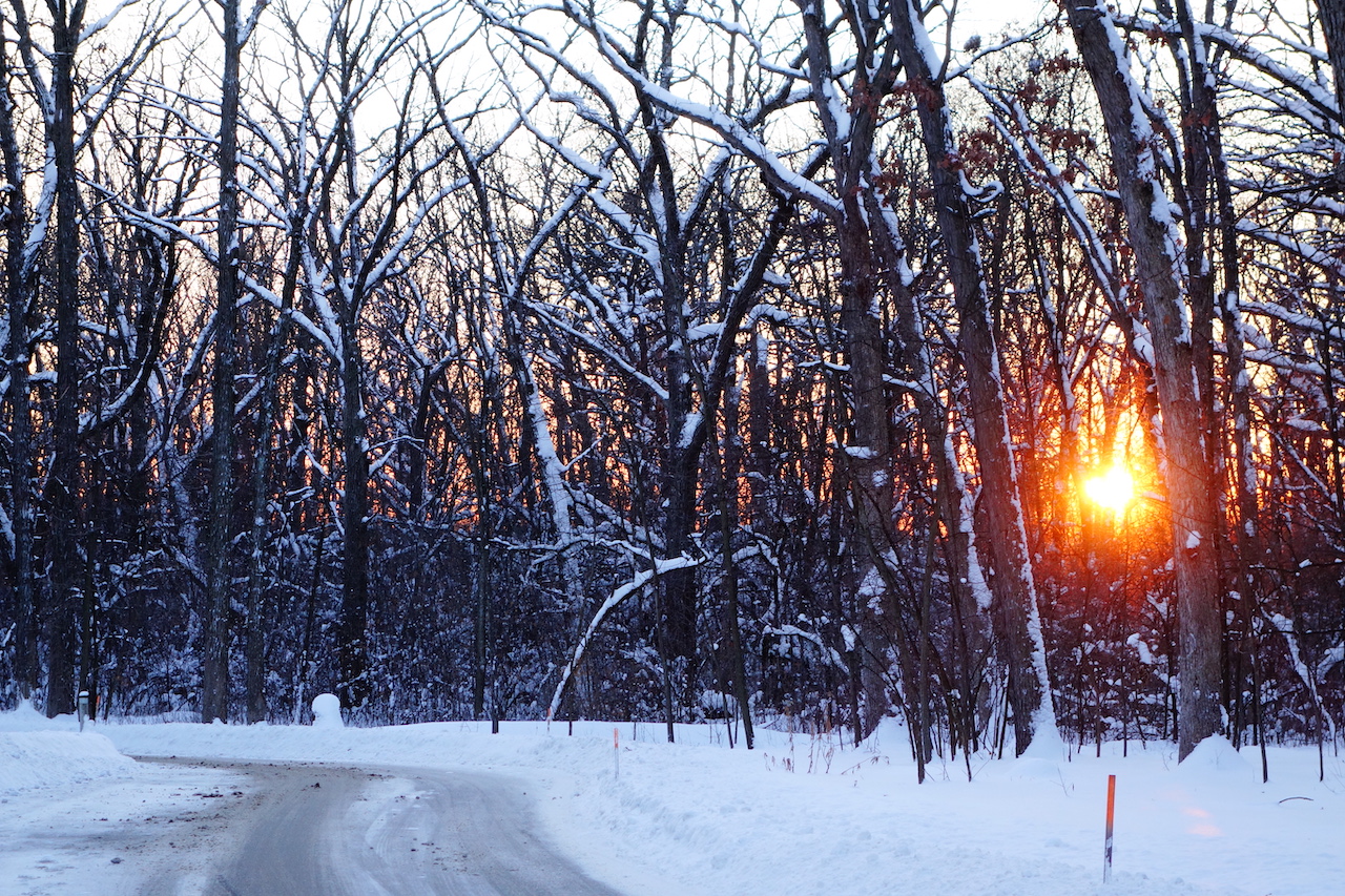 Bit of Snow January 2014