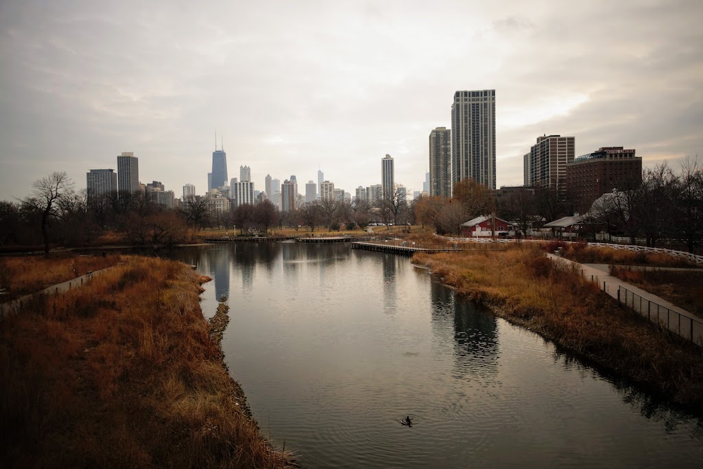 Lincoln Park Zoo Lights
