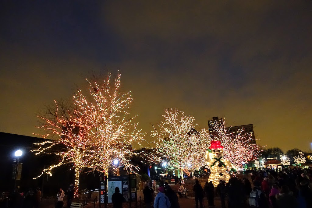 Lincoln Park Zoo Lights