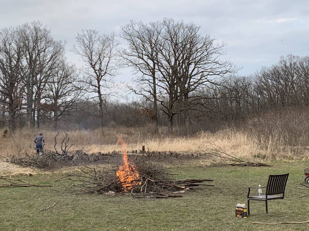 The Great Buckthorn Slash and Burn